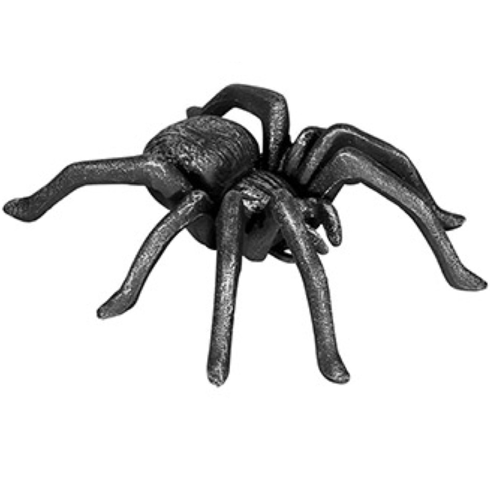 Tabletop Spider Ornament: Iron